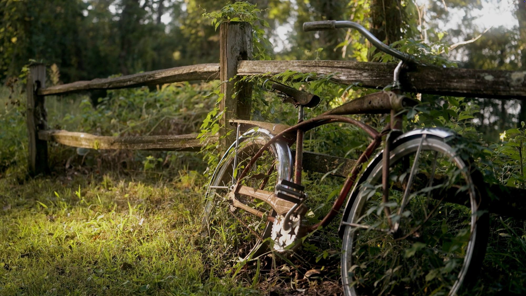 An old bicycle leaning against a split-rail fence, overgrown with vines